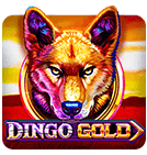 big win rummy apk