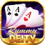 rummy jobs logo